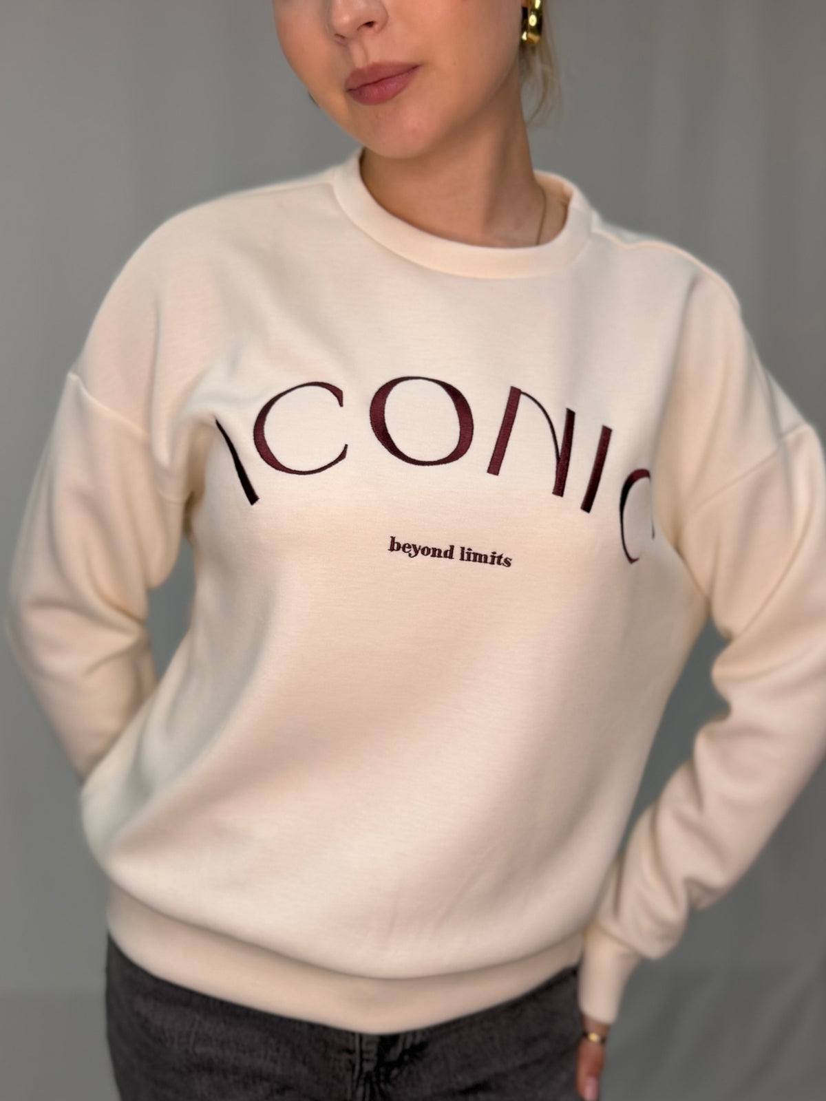 VIREFLECT O-NECK L/S ICONIC SWEAT TOP